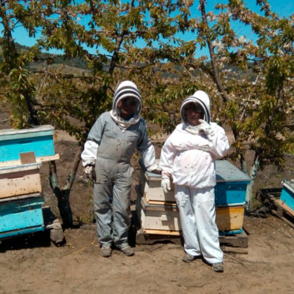 Polinización de huertos